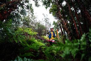 BIB: 
                            <button type="button" onclick="openModal(26204159)" class="btn btn-primary btn-sm float-right btn-popup" data-toggle="modal" data-target=".modal-high-quality">
                        <i class="fas fa-shopping-cart"></i> Add to Cart
                    </button>
                                            <button type="button" onclick="isThisMe(26204159, true)" class="btn btn-success btn-sm float-right btn-popup btn-isme hidden" data-toggle="tooltip" data-placement="bottom" title="นี่คือรูปของคุณใช่ไหม คลิกที่นี่เพื่อเอาเข้าอัลบั้ม">
                        <i class="fas fa-plus"></i> Add to album
                    </button>
                    <button type="button" onclick="isThisMe(26204159, false)" class="btn btn-warning btn-sm float-right btn-popup btn-isnotme hidden">
                        <i class="fas fa-ban"></i> Remove from album
                    </button>